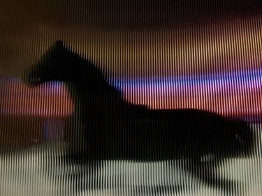 Original Figurative Horse Photography by Arthur Rodrigues