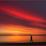 red walk 25 by Josh Adamski