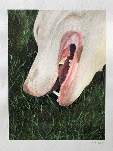 Print of Animal Paintings by Peter Root