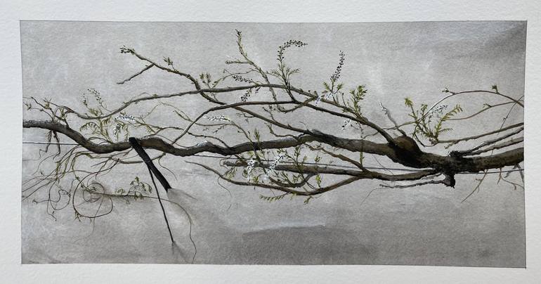 Original Contemporary Botanic Drawing by Peter Root