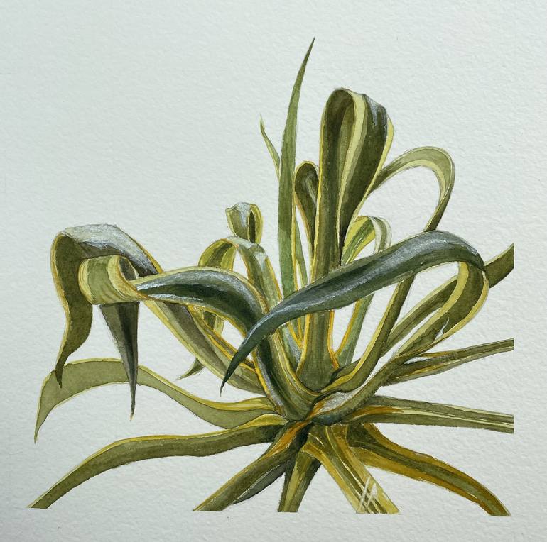 Original Contemporary Botanic Painting by Peter Root