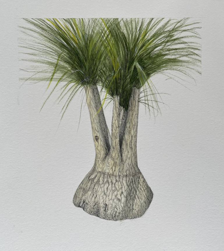 Original Contemporary Botanic Drawing by Peter Root