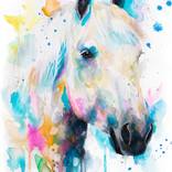 Percherons horse by Slaveika Aladjova