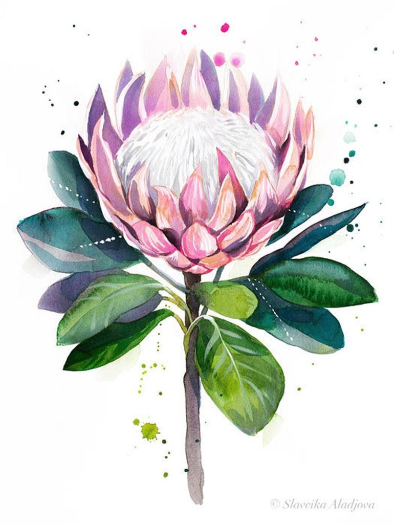 protea painting