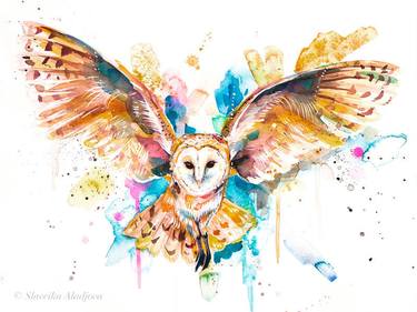 Barn owl in flight thumb