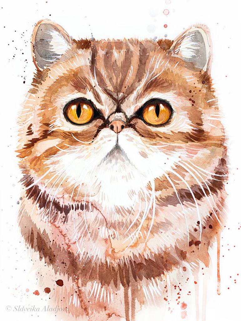 Exotic Shorthair Cat Painting by Slaveika Aladjova Saatchi Art