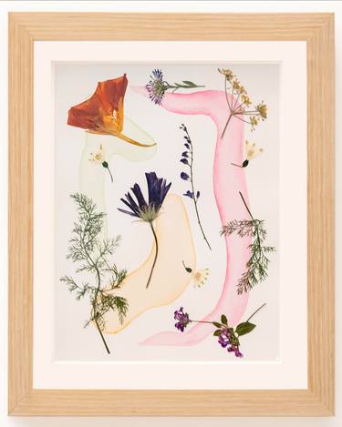 Original Abstract Botanic Paintings by Giuliana Mottin