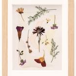Spring 4 by giuliana mottin