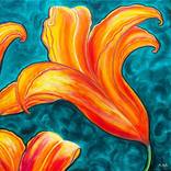 Lily by Maya Nival