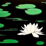 Water Lily by Maya Nival