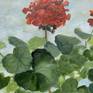 Red Geranium oil painting detail 2