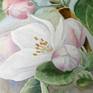 This painting was inspired by the apple tree in my parent's land. It flourishes with very beautiful flowers every spring. I painted it using watercolors, as this medium conveys the transparency and lightness of spring air and tenderness of apple blossoms. I used high quality art materials (watercolor paper 300 gm and Van Gogh watercolors).