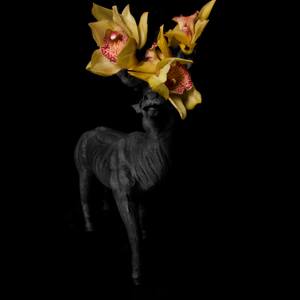 Collection Best of 2024: Trade