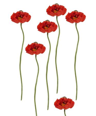POPPIES DREAM - Limited Edition of 25 thumb