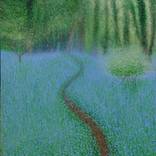 Path through the Bluebells by Sarah Sweet