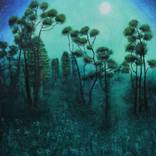Luna Light on the Pines by Sarah Sweet
