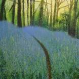 I strayed into a sea of bluebells by Sarah Sweet