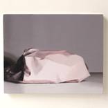 Pink fold 2 by Alex Hanna