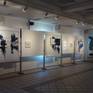 exhibition's photo