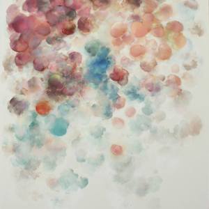 Collection Filipe Final