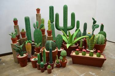 Cactus Series thumb