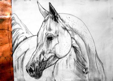 Original Animal Drawings by CHAKIB BENKARA