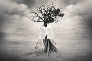 Original Surrealism Fantasy Photography by Tommy Ingberg