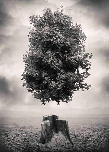 Original Surrealism Fantasy Photography by Tommy Ingberg