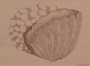 Original Abstract Nature Drawings by Beatriz Valiente