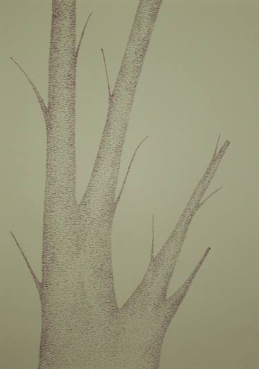 Original Nature Drawings by Beatriz Valiente