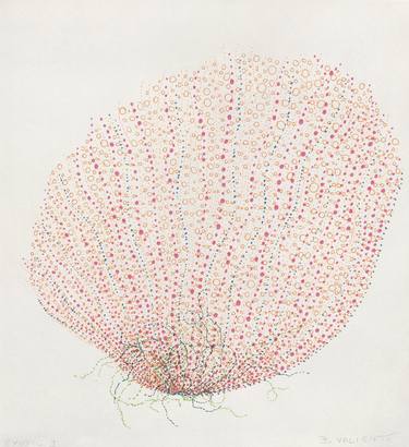 Original Modern Botanic Drawings by Beatriz Valiente