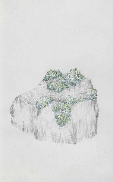 Original Nature Drawings by Beatriz Valiente