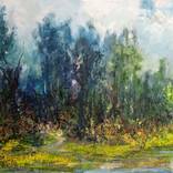 Woodland pond by W Van de Wege