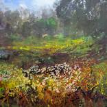 Autumn Veluwe serie by W Van de Wege