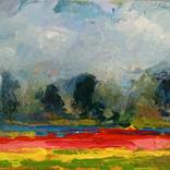 Dutch flowerfields 25 by W Van de Wege