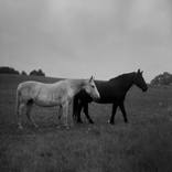 Dmitry Bulkin by Dmitry Bulkin
