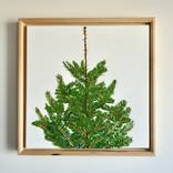 Scandi tree by Susan Porter