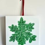 Fir Star by Susan Porter