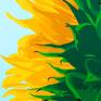 Sunflower acrylic painting facing into the sun