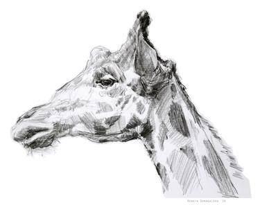 Print of Illustration Animal Drawings by Renata Domagalska