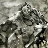 Collection Echoes and shadows - LANDSCAPES