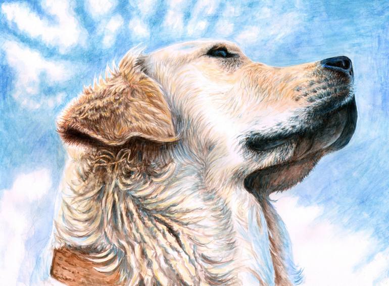 まとめ買い】 原画】Animal-eyes『犬』（パステル画） 絵画 - 絵画