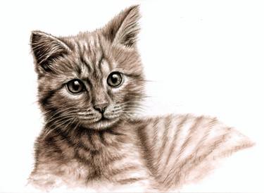 Print of Realism Animal Drawings by Nicole Zeug