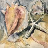 She Sells Sea Shells by Linda McCarthy