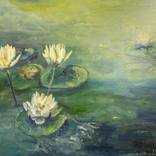 Lily and the Frog by Linda McCarthy