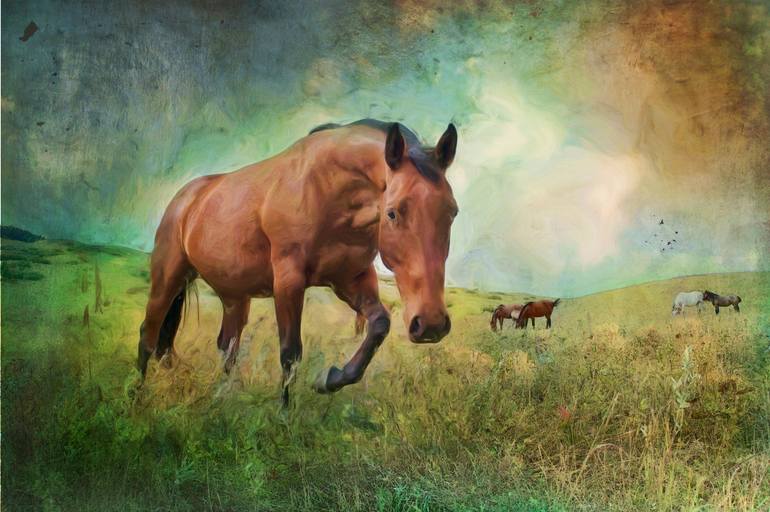 View in a Room Artwork