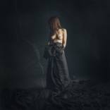 As the Night Goes By, Limited Edition by Michael Pannier