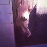 No one saw by Agnes Szikra