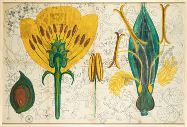 Print of Figurative Botanic Paintings by Victoria Iriondo