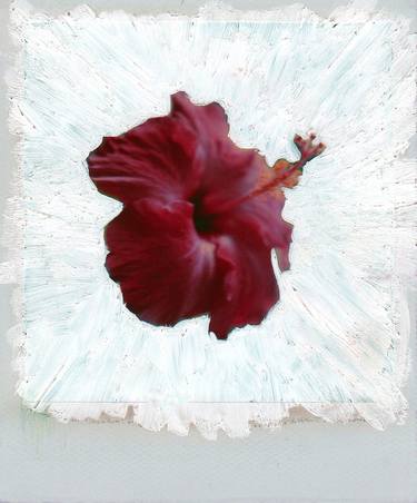 Print of Expressionism Botanic Photography by Lynn Russell